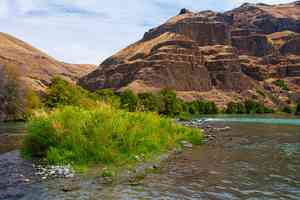 deschutes river oregon - steelhead fishing