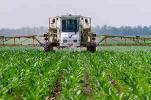 corn field spraying glyphosate