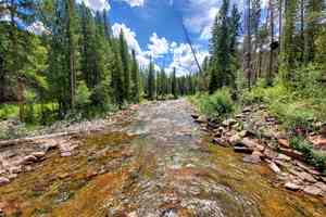 fly fishing creek