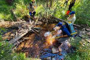 biologists rescue uncompahgre colorado river cutthroat trout