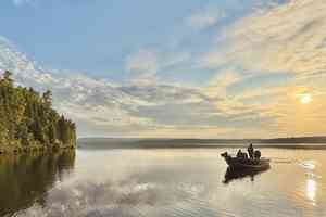 brook trout fly fishing lake
