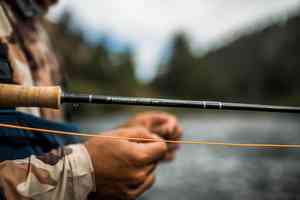 sage r8 core fly rod