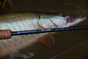 redington big game rod next to musky