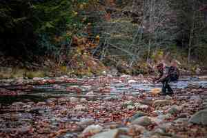 young fly fisherman stealthy approach