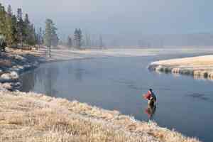 Casting a double taper fly line on the Firehole River in Yellowstone National Park