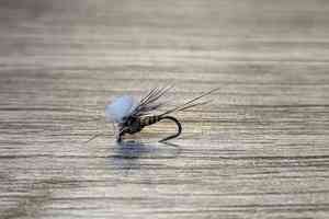 parachute midge fly
