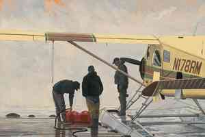 float plane painting by bob white