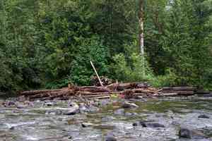 Logjam on the Salmon River, OR 