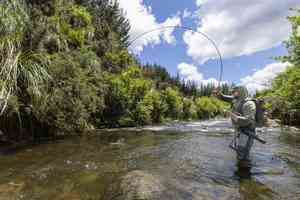 Photo: Scott Fly Rods scott gt series fly rod