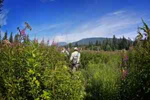 fishermen tongass national forest