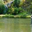 single hand spey casting