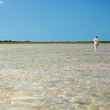 andros island bonefish