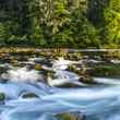 north umpqua river oregon