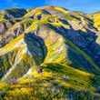 carrizo plain national monument