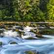 north umpqua wild and scenic river