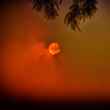 australian bushfires