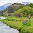 patagonia spring creek