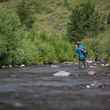 fly fishing cutthroat trout