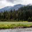 Tongass National Forest