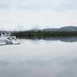 koktuli pond float plane