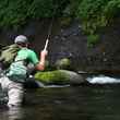 Tenkara Fishing