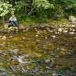 man fly fishing small creek