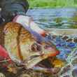 brook trout michigan