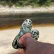 florida river - camo crocs