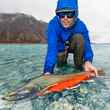 dolly varden | arctic national wildlife refuge