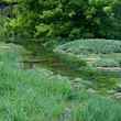 Falling Springs Branch Creek, Cumberland Valley, Pennsylvania