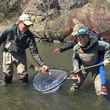 Women fly fishing - moms on the water