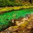 Hofsa River, Iceland