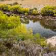 Patagonia - Traful River Fly Fishing