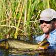 ibera marshlands golden dorado