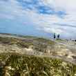 Flats fishing turneffe flats belize