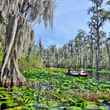 Okefenokee National Wildlife Refuge