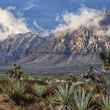 rainbow mountain wilderness bob wick