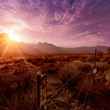 Red Rock Canyon nevada