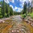 fly fishing creek