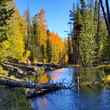 small trout stream utah