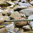 orvis superfine glass fly rod