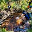 biologists rescue uncompahgre colorado river cutthroat trout