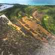 A mangrove swamp on Vieques