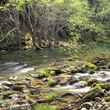 eel wild and scenic river