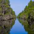 The Okefenokee National Wildlife Refuge in Georgia 