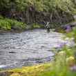 headwater stream