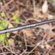 scott centric fly rod 