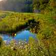 Wisconsin Driftless Region