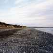 The shore of Bristol Bay near Naknek.