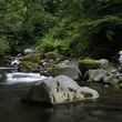 tenkara fishing